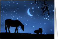 Friends Dog and Horse Starry Night With Crescent Moon card
