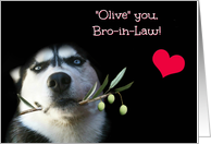 Happy Birthday Brother In Law with Cute Husky card