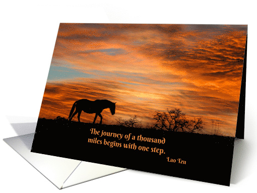 Beautiful Horse Encouragement with Lao Tzu Quote of 1000 Miles card