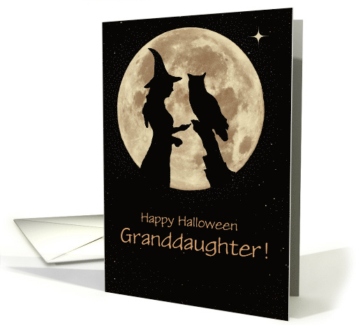 Halloween Granddaughter or Any Relation Witch and Owl In... (1575978)