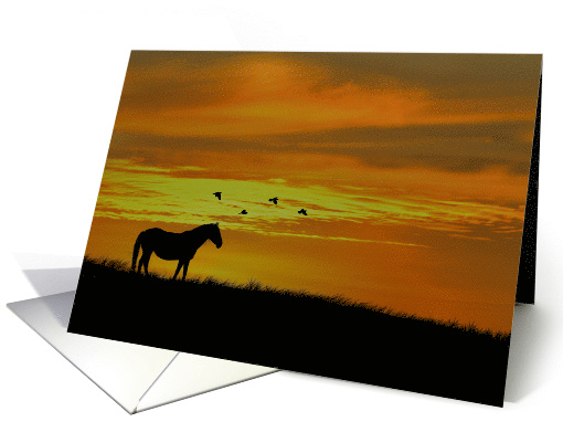 Horse and Sunset with Birds Thinking of You card (1579882)