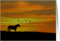 Horse and Sunset with Birds Thinking of You card