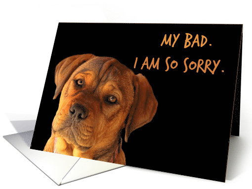 Cute Puppy Apology, My Bad, Can You Forgive Me card (1580212)