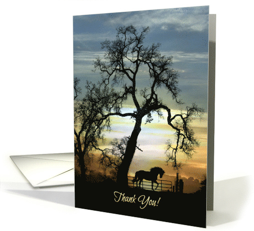 Horse Thank You with Oak Tree and Sunrise card (1580264)