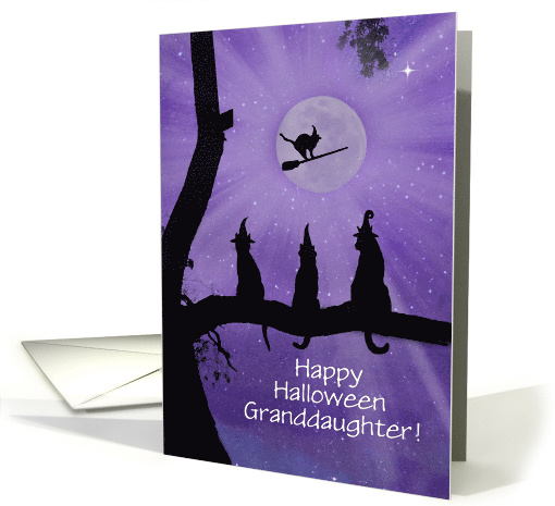 Happy Halloween Black Cats Custom for Family or Relation card