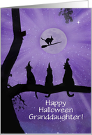 Happy Halloween Black Cats Custom for Family or Relation card