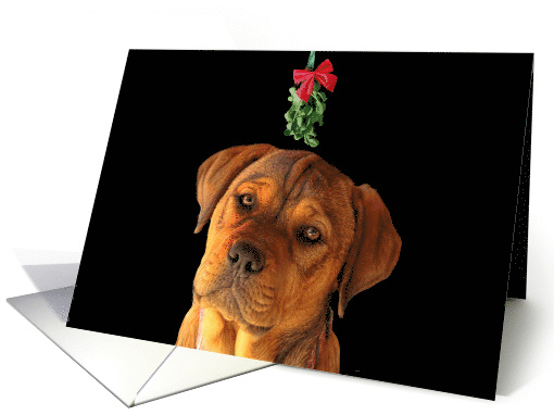 Christmas Missing You Sweet Puppy Missing you for The Holidays card