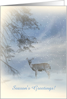 Custom Season’s Greetings Deer Pine Trees and Snow card