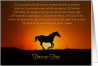 Horse and Sunset Sympathy, Spiritual Sympathy Poem card