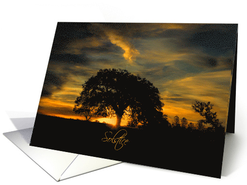 Oak Tree Sunset Summer Solstice Longest Day of the Year card (1594210)