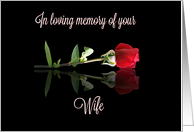 In Loving Memory and...