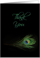 Thank You with Peacock Feather card