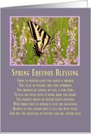 Spring Equinox Butterfly and Flowers, Ostara Blessing card