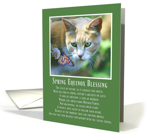 Spring Equinox with Cat and Butterfly Blessings for Spring card