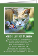 Spring Equinox with Cat and Butterfly Blessings for Spring card