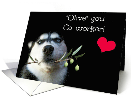 Funny Co-worker Happy Birthday with Dog and Olive Branch card