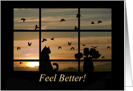 Get Well Feel Better Sweet Cat in Window with Birds and Flowers Sunset card