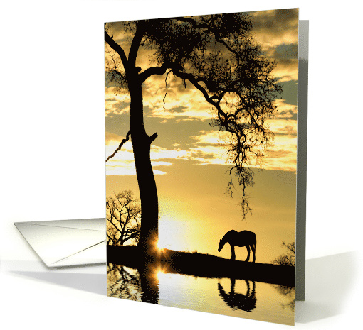 Horse and Sunshine Encouragement card (1605692)