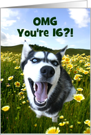 Super Cute Husky and Wild Flowers Happy 16th Birthday Customizeable card