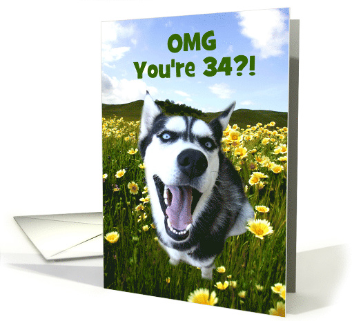 Custom Cute Dog Happy 34th Birthday card (1606290)