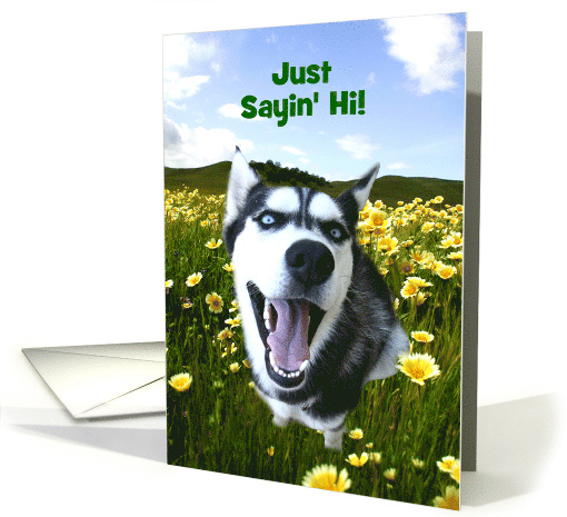 Cute Husky Hello Customizable card (1606940)