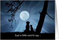 Cute Thinking of You Dog and Cat in Moonlight card