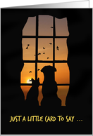 Cute Dog and Cat in Window Thinking of You card