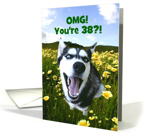 38th Birthday Cute Dog in Yellow Flowers And Green Field... (1607812)