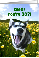 38th Birthday Cute Dog in Yellow Flowers And Green Field Customizable card