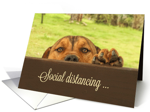 Social Distancing Missing You Cute Puppy and Fence card (1607968)