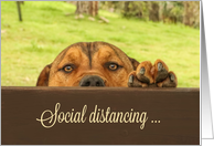 Social Distancing Missing You Cute Puppy and Fence card