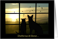Sheltering at Home Corona Virus Thinking of You Cat and Dog Window card