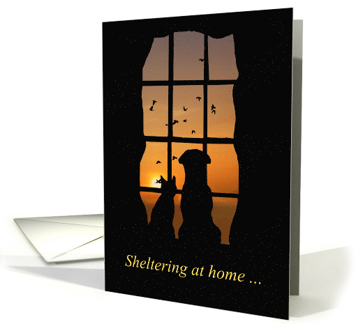 Cute Sheltering at Home Dog and Cat Thinking of You card (1608148)