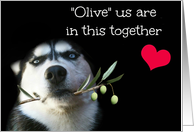 Pandemic Corona Virus Encouragement Husky and Olive Branch Heart card