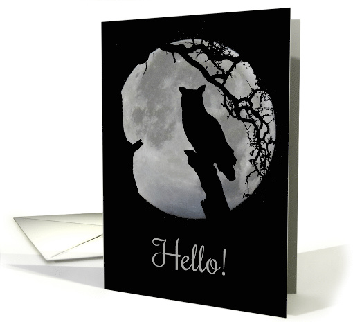 Owl and Moon Hello What's Going on in Your World card (1608484)