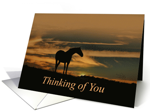 Horse Sunrise Thinking of You card (1608500)