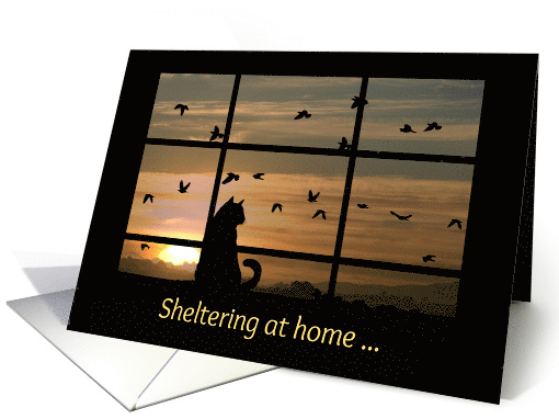 Sheltering at Home Thinking of You Cat in Window Corona Virus card
