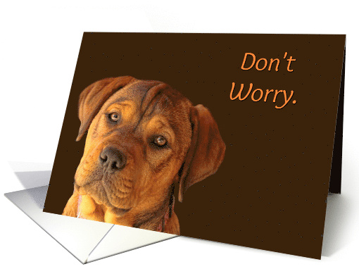 Sweet Puppy Don't Worry it Will Be Okay Encouragement card (1609282)