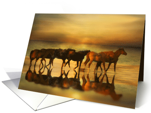 Horses on the Beach During Sunset Blank Note card (1617284)