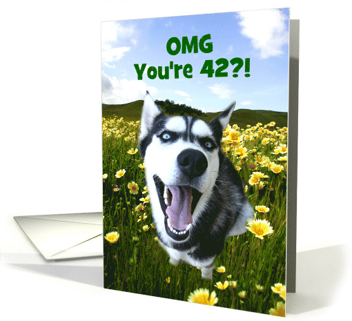 Cute Happy 42nd Cutomizable Birthday With Husky and Wildflowers card