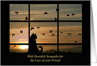 Sympathy for Loss of Friend Cat in Window With Sunset card