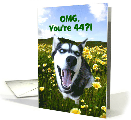 Cute Husky Dog in Flowers You Look Good Happy 44th Birthday card