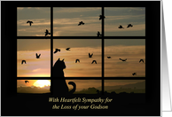 Sympathy for Loss of Godson Sunset Cat and Birds card