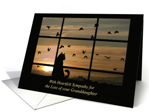 Sympathy for Loss of Granddaughter Cat in Window card (1618312)