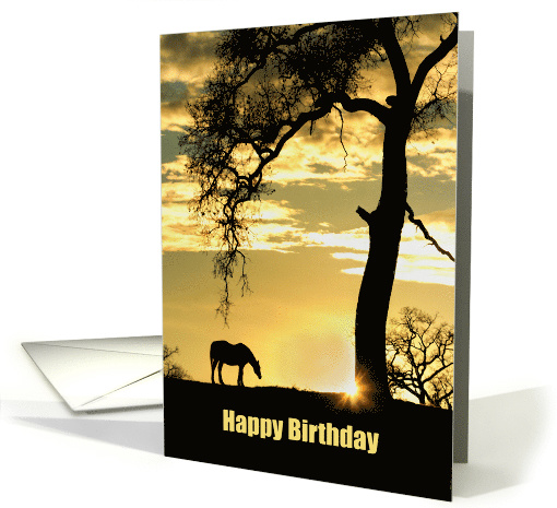 Horse and Oak Tree Happy Birthday Sunshine card (1623080)