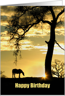 Horse and Oak Tree Happy Birthday Sunshine card