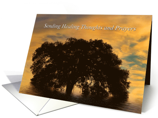 Metaphysical Get Well,Holistic Healing with Oak Tree card (1628304)