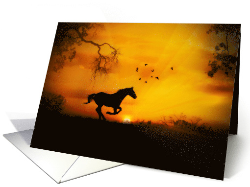 Horse Running at Sunset Blank card (1630546)