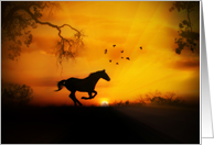 Horse Running at Sunset Blank card