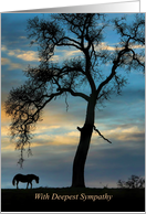 Horse and Oak Tree Sympathy You are in My Thoughts card